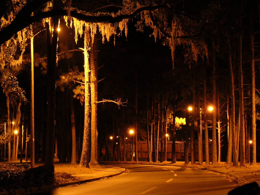 Img_2003-11-16 09.41.27