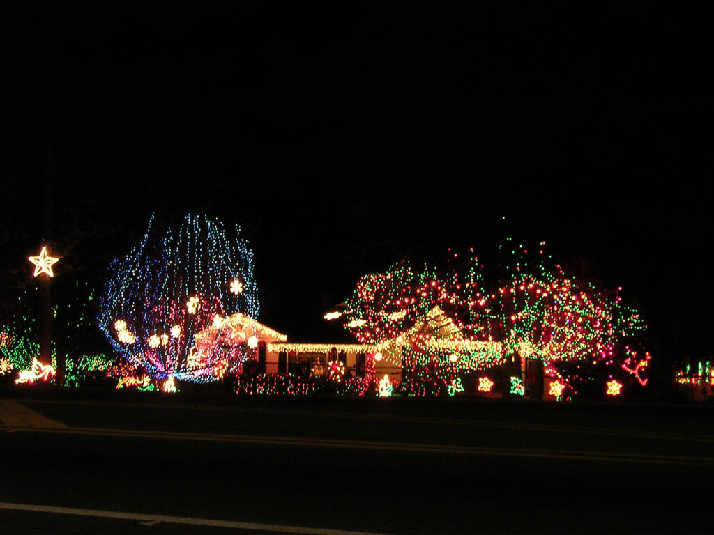 Img_2003-11-21 15.10.39