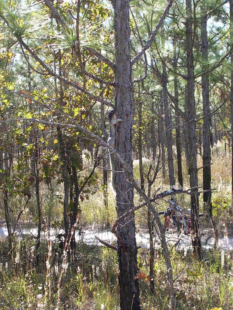 Img_2003-11-21 15.10.39