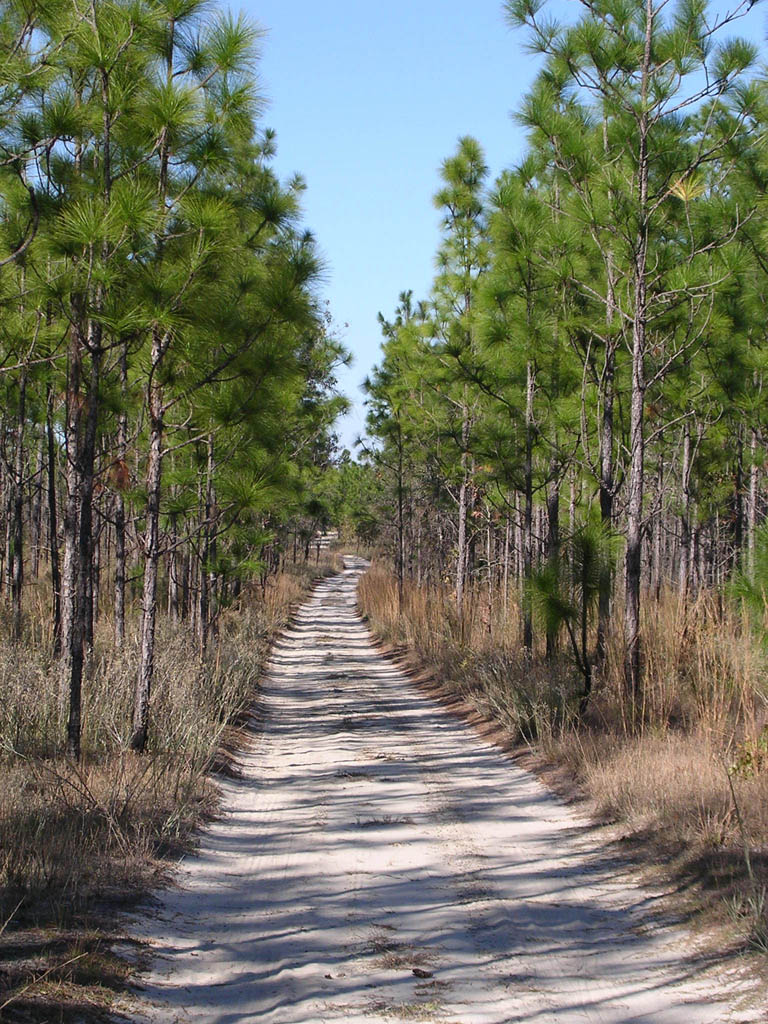 Img_2003-11-21 15.10.39