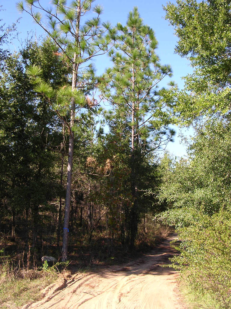 Img_2003-11-21 15.10.39