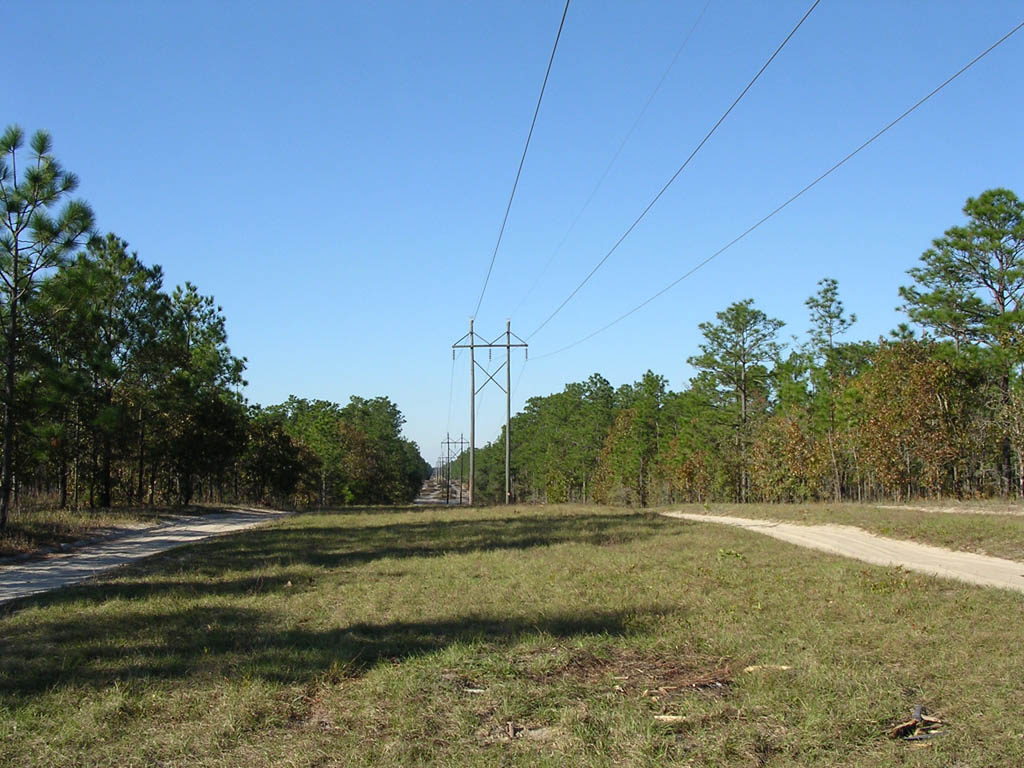 Img_2003-11-21 15.10.39