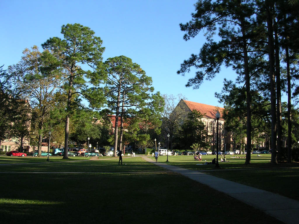 Img_2003-11-21 15.10.39