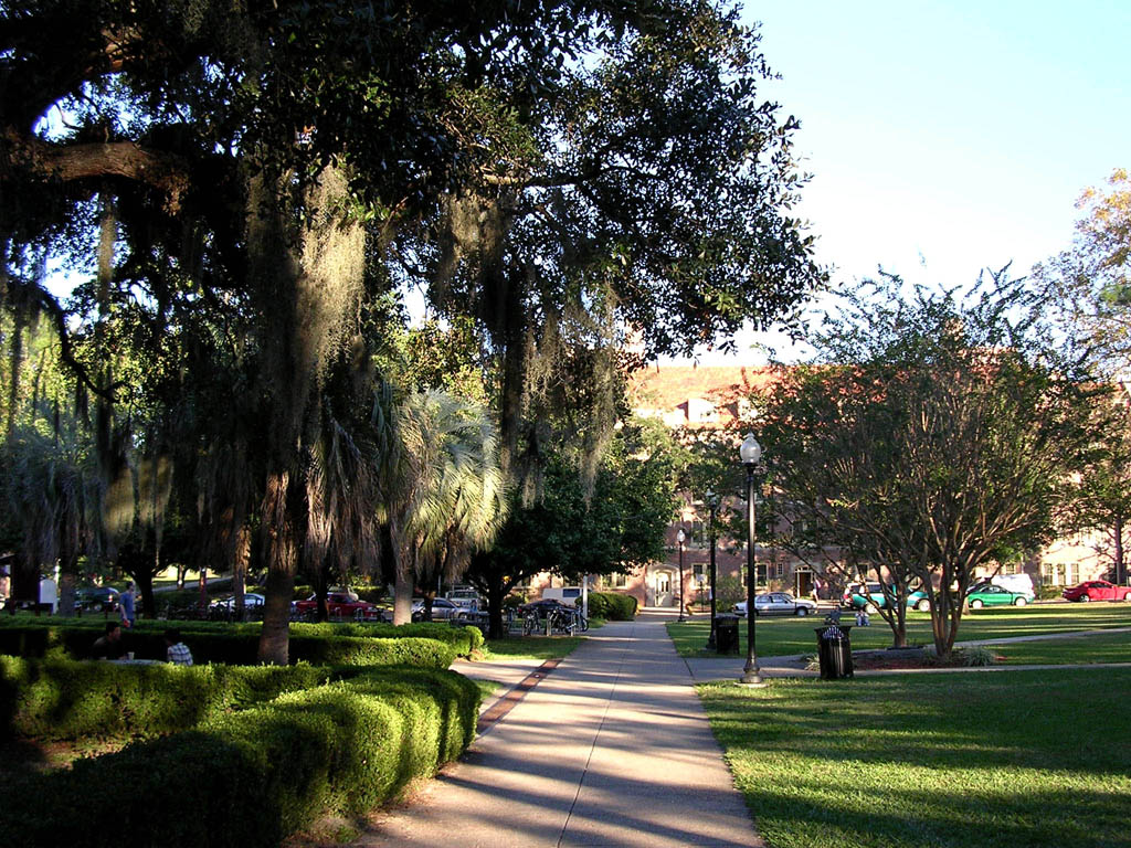 Img_2003-11-21 15.10.39