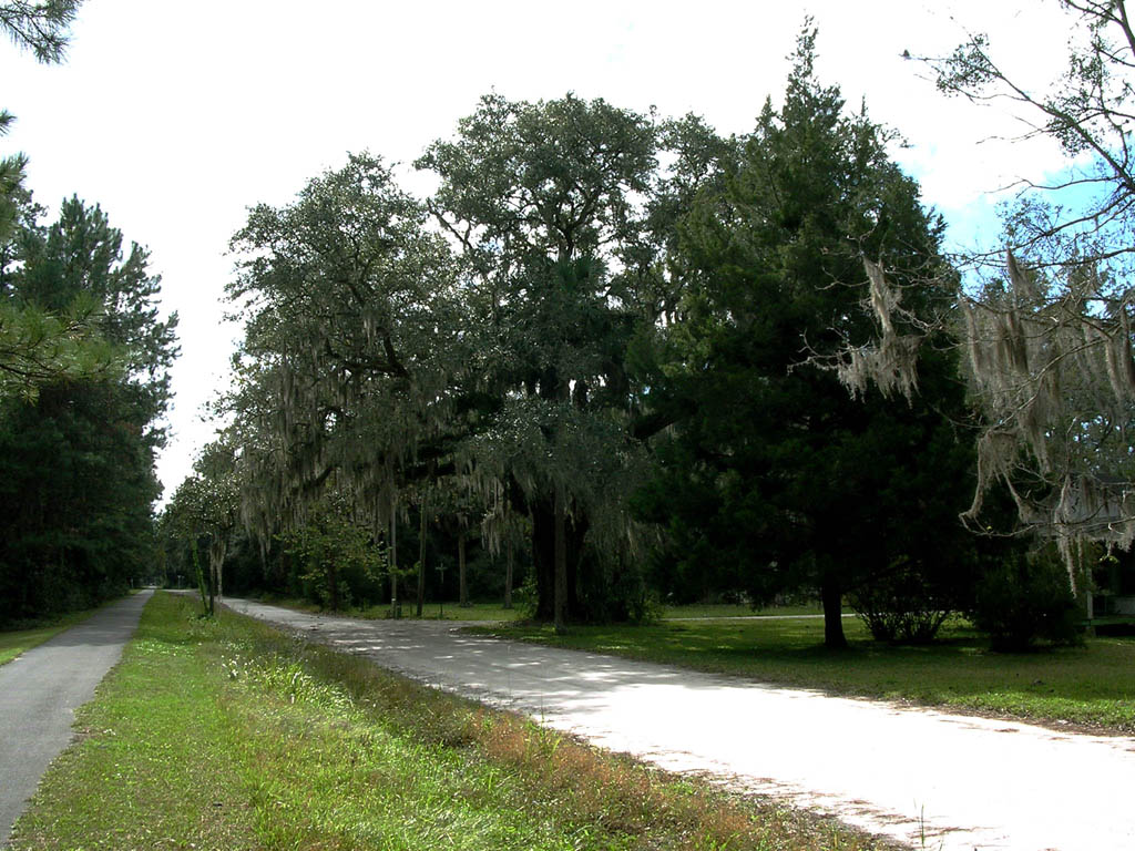 Img_2003-11-21 15.10.39