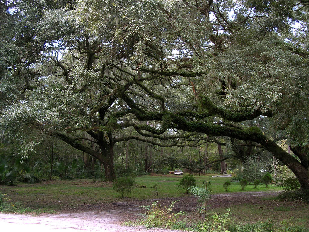 Img_2003-11-21 15.10.39