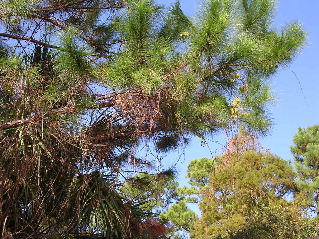 Img_2003-11-21 15.10.39