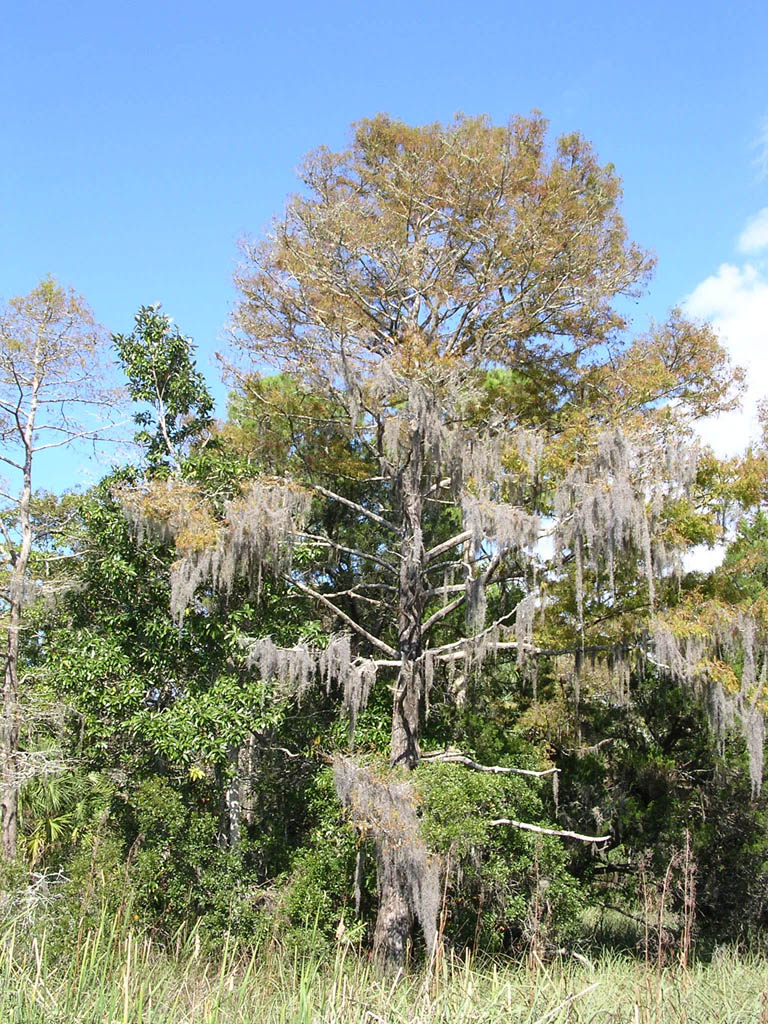 Img_2003-11-21 15.10.39