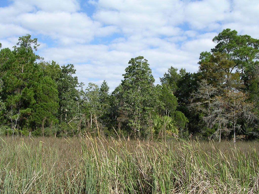 Img_2003-11-21 15.10.39