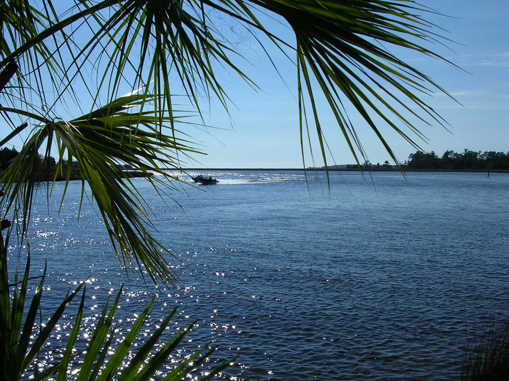 Img_2003-11-21 15.10.39