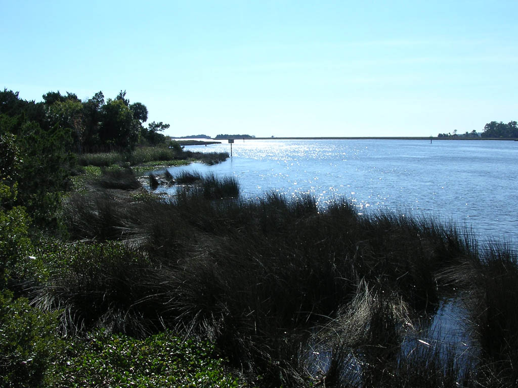 Img_2003-11-21 15.10.39