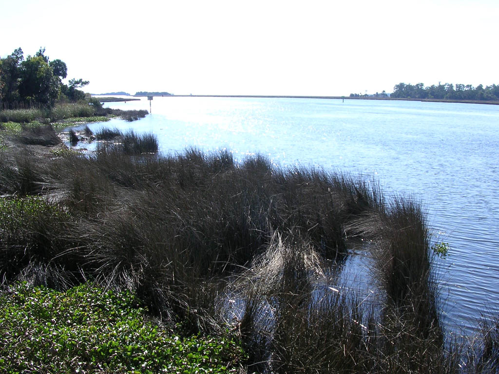 Img_2003-11-21 15.10.39