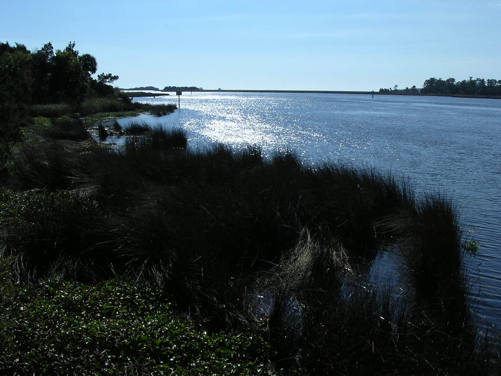 Img_2003-11-21 15.10.39