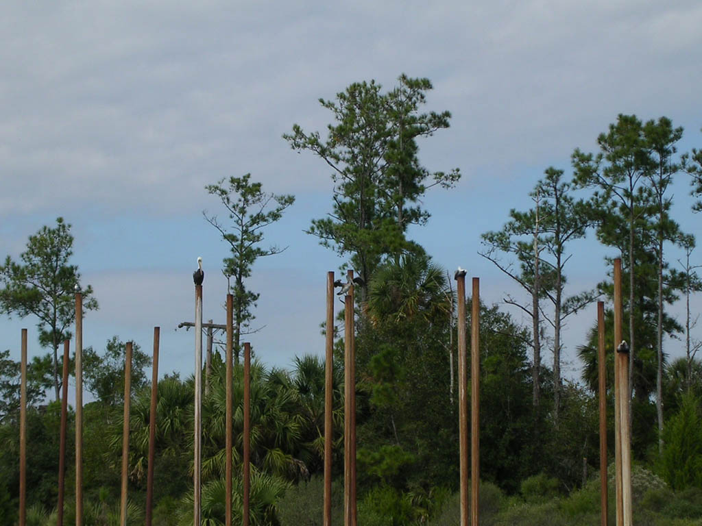 Img_2003-11-21 15.10.39