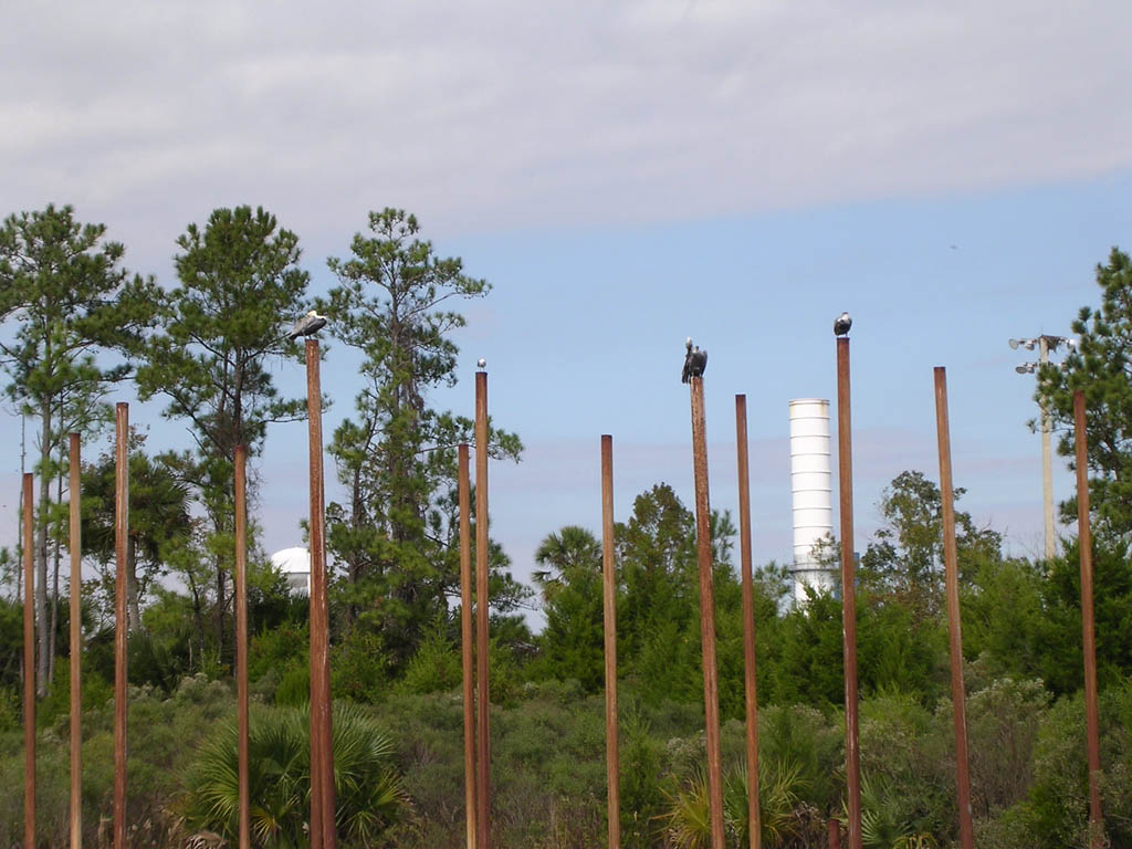 Img_2003-11-21 15.10.39